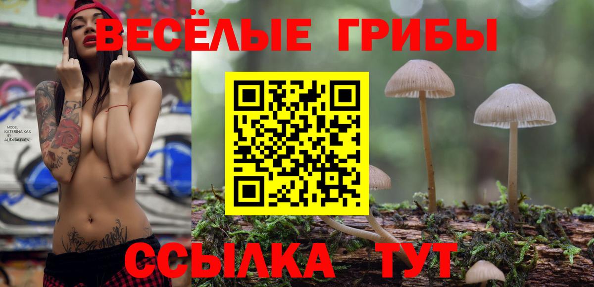 Пугачёв  Псилоцибиновые грибы прущие грибы  Вход с VPN 